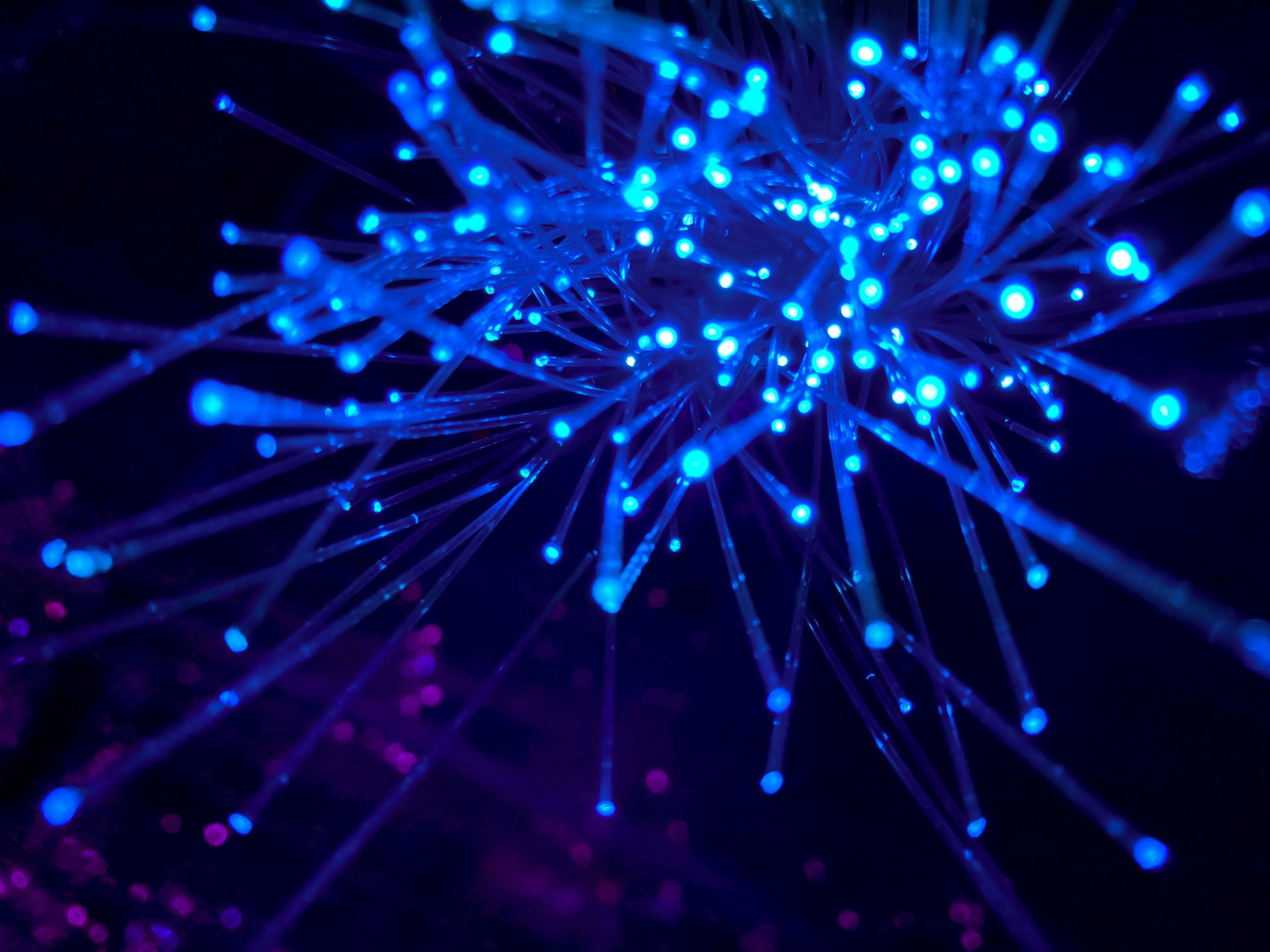 Fibre optic network